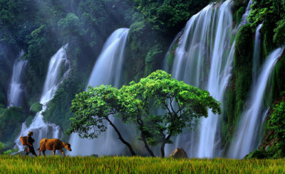 Ban Gioc Waterfall  3 Day Tour