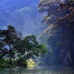 Ba Be Lake Vietnam have just been listed in the Top 16 of the world's most beautiful lakes